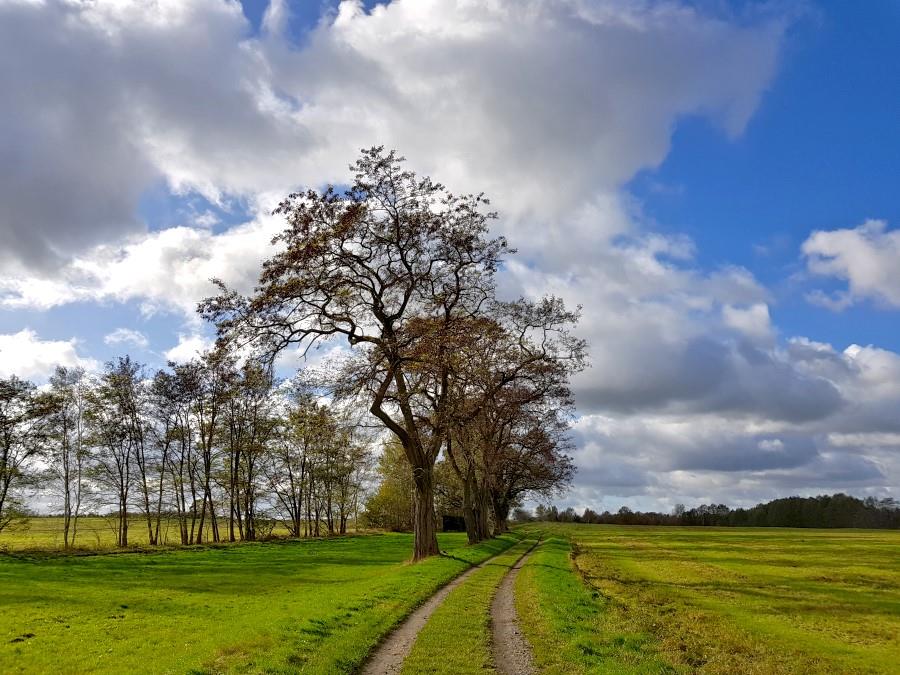 Radeburg – Zille-Radweg